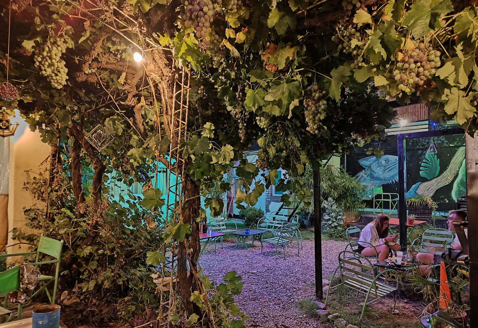 Jardín del hostel de noche, entre parras